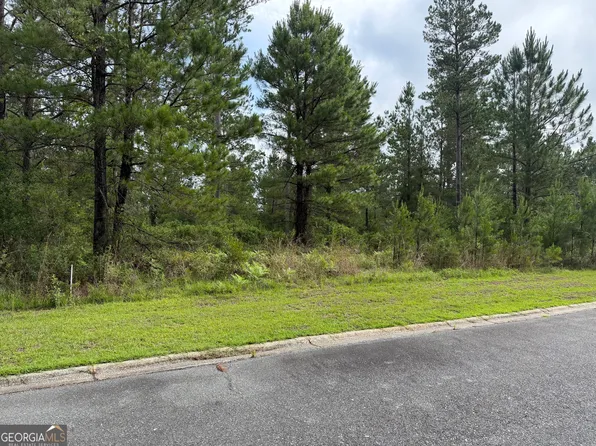 0.59 Big Horse Dr, Waynesville, GA 31566