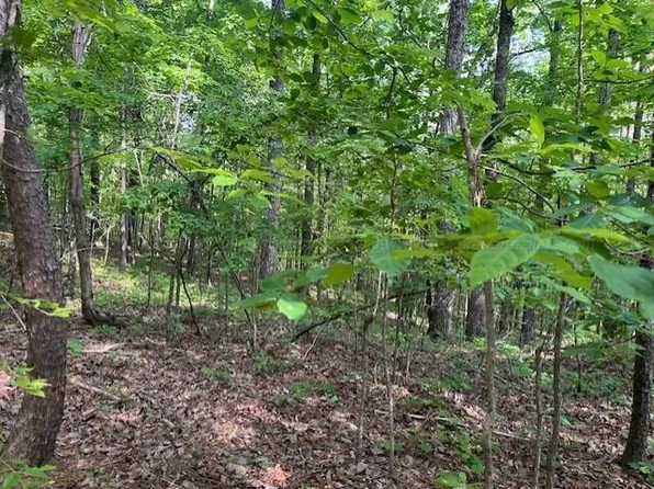 Underwood Ferry Rd, Quinton, AL 35130