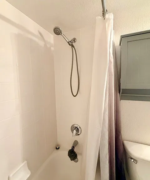 Guest bathroom. Standard tub.
