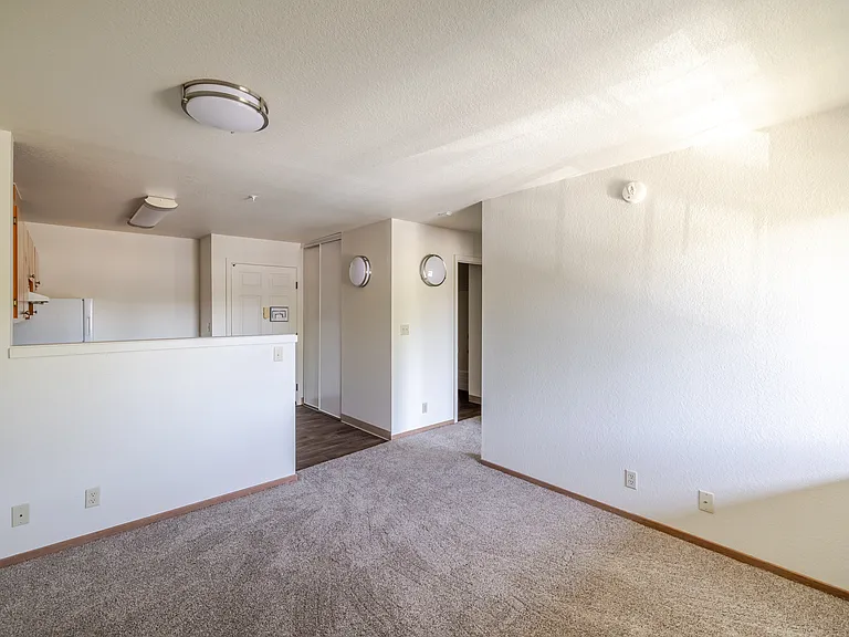 Open-concept living area offers a warm and inviting layout with plush carpeting.