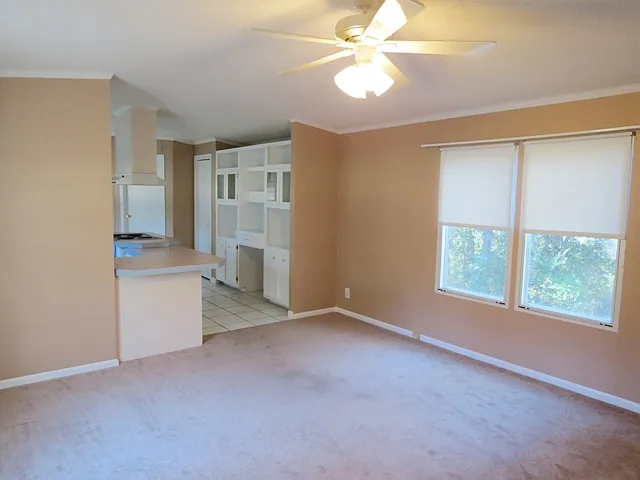 2 bed, 800 sqft, $850 — Photo 3