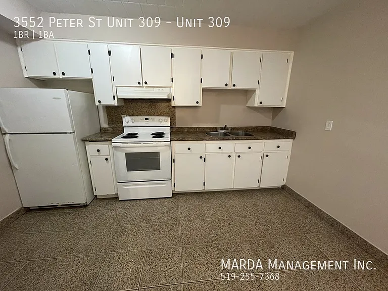 3552 Peter St #309 — Photo 3