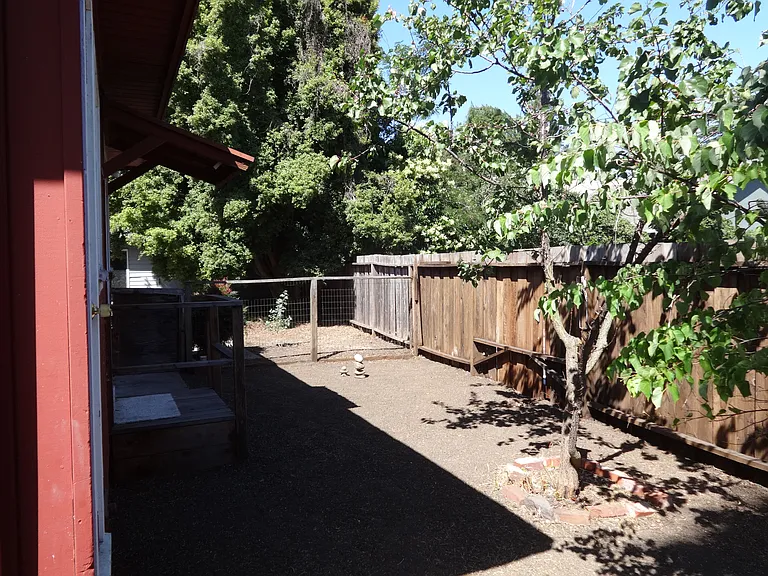 Backyard. A small apricot tree is in the backyard. The apartment is set close to the back of the property and abutts to non-residential (county) single-story, county office space.