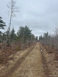 PARCEL 5 W Johnson Lake Rd, Gwinn, MI, 49841