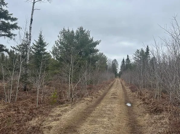 PARCEL 5 W Johnson Lake Rd, Gwinn, MI 49841