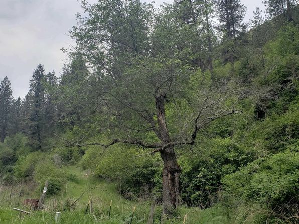 2634 Highway 162, Kamiah, ID 83536