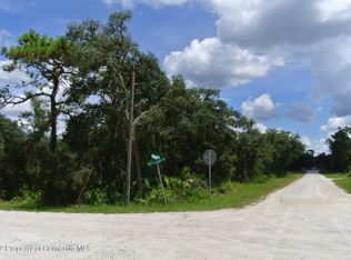 0 Shellstream Dr, Webster, FL 33597