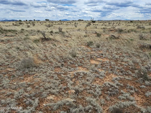 70 W Concho Rd #658, Williams, AZ 86046