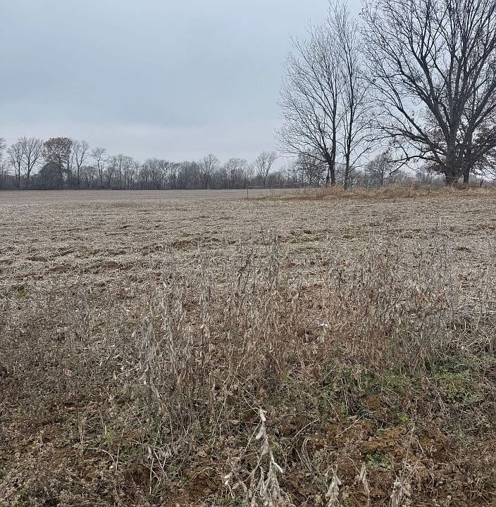 2nd image of County Road 659