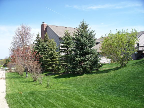 Milky Way from South