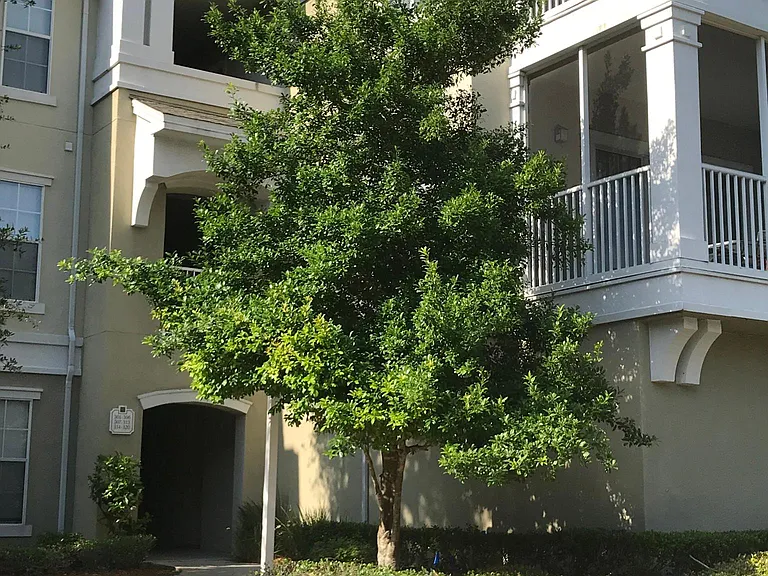 8290 Gate Pkwy W #316 — Photo 12