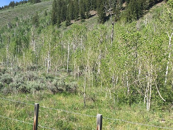 3rd image of Tbd Hwy #135
