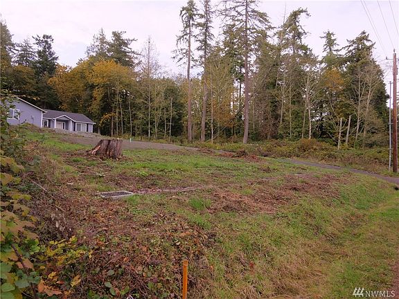 This is from the NE corner of the property looking at the neighbor to the north, you can see generally what the slope is like and would be similar to for this property.