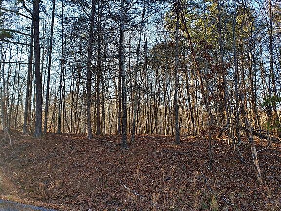 3rd image of 109 Branham Rd Lot 5
