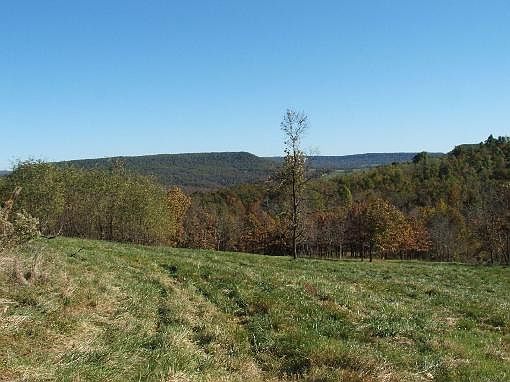 5th image of 6166 County Road 905