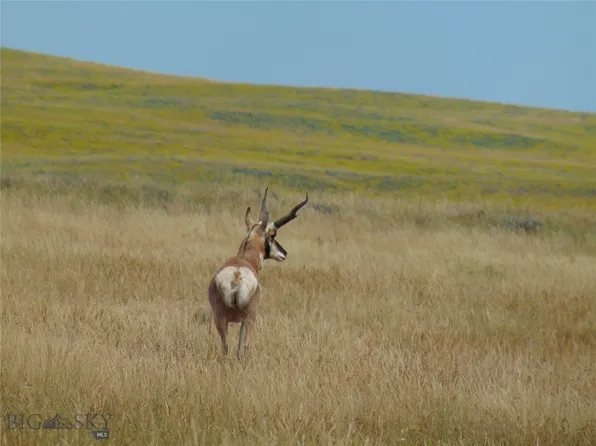Wilder Trl, Lewistown, MT 59457