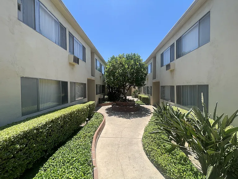 Palm Terrace Apartments — Photo 7