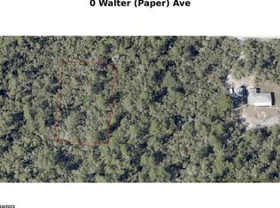 Walter Paper Ave #12, Lake Helen, FL 32744