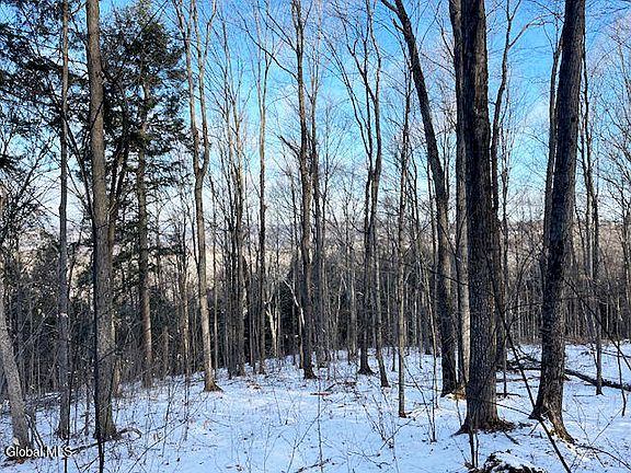 4th image of L29 Mountain Crest Road