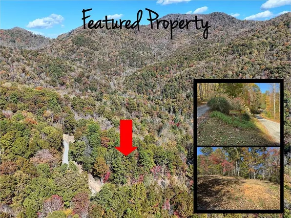 0 Platinum Rd, Tuckasegee, NC 28783