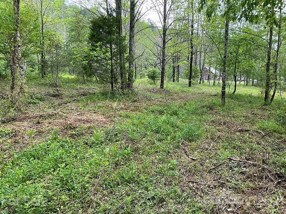 2nd image of 0 Sitton Creek Mdws