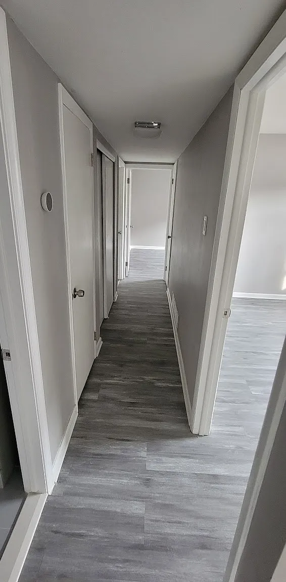 2 bed, 800 sqft, $1,600 — Photo 3