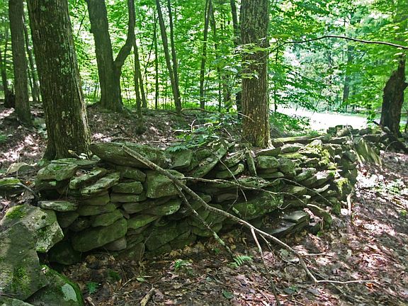 5th image of Margaretville Mountain Rd