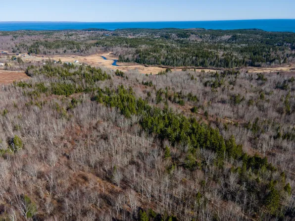 Lot 8 Number 9 Road, Cutler, ME 04626