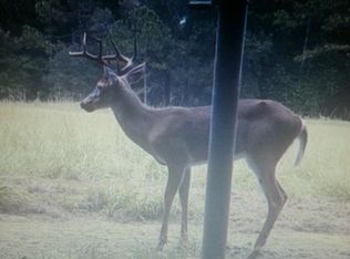 Rocky Creek Rd, Chiefland, FL 32626