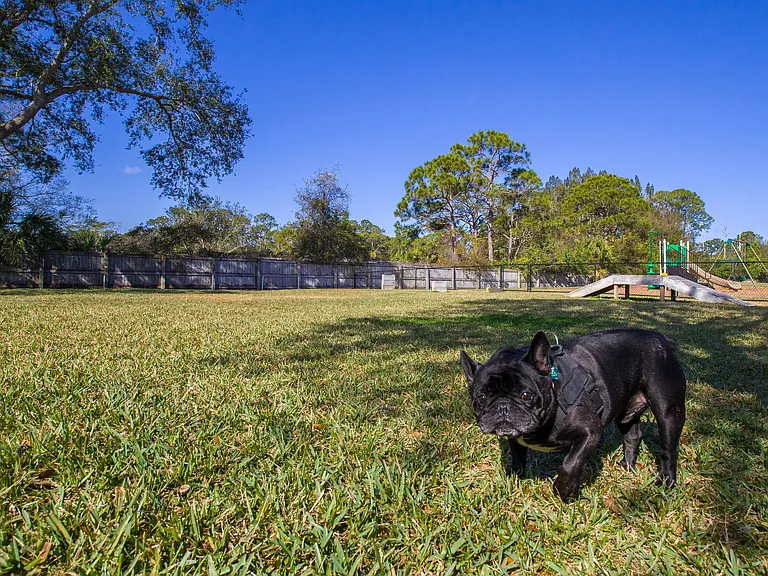 Embrace pet-friendly living in Melbourne at Grand Oaks. Our community offers an expansive off-leash dog park so your dog can get some exercise and socialization.