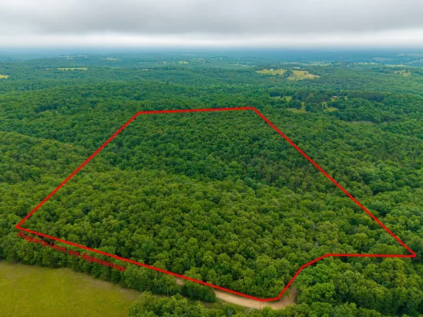 000 Co Rd 519 #Tract 1, Hardenville, MO 65666