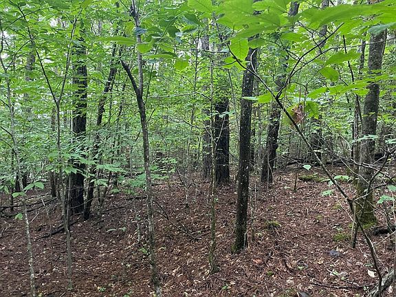 3rd image of 0 Olive Hill Rd