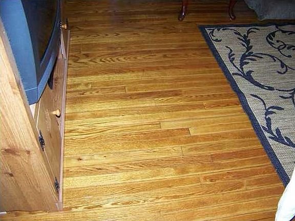 5th image of 911 Sunny Dell Cir