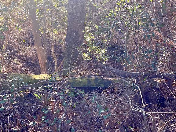 5th image of LOT 6 NW Alapaha Woods Way #6