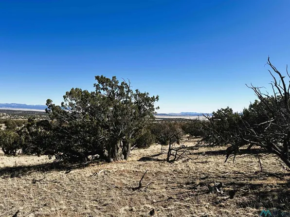 Tanglewood Cir, Datil, NM 87821