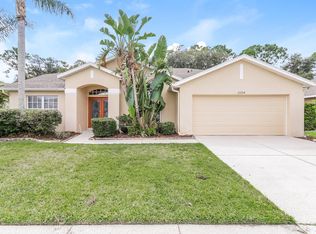 22254 Yachtclub Ter, Land O Lakes, FL 34639