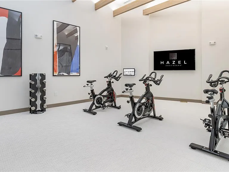 Hazel Southpark — Photo 44