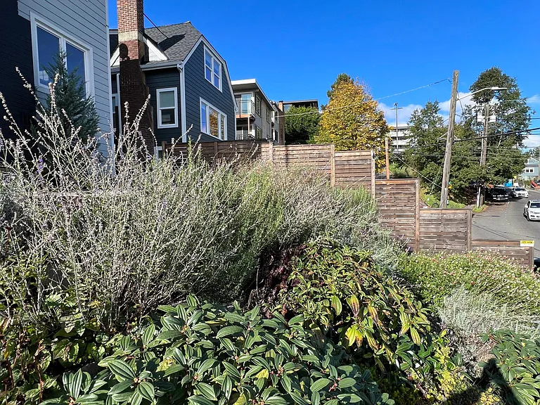 Beautiful, convenient neighborhood
