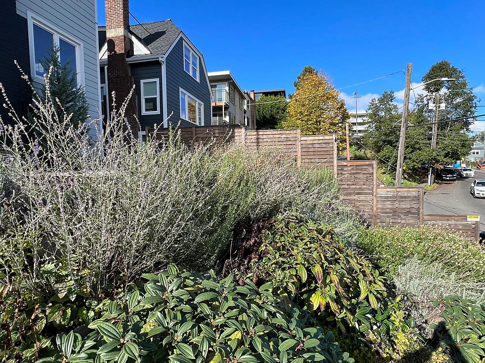 Beautiful, convenient neighborhood