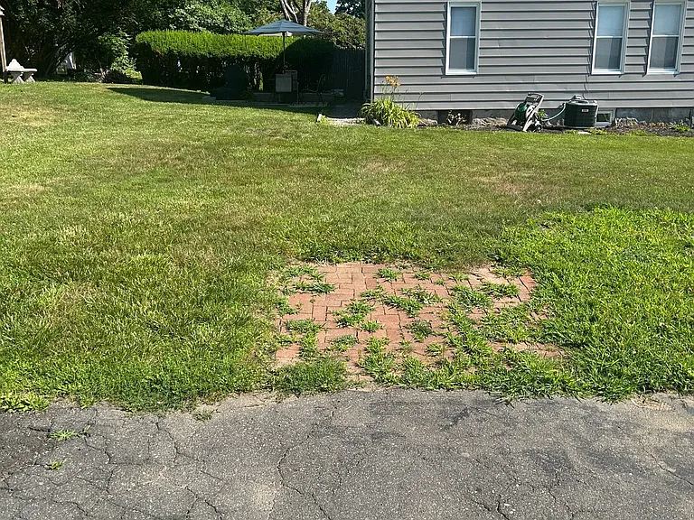 14 May Ave — Photo 2