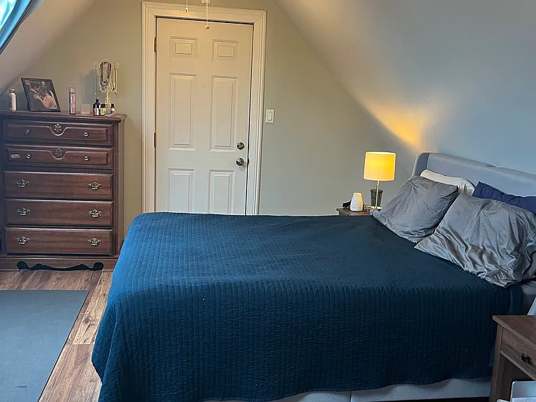 Master bedroom on the 3rd floor - the door you see in the photo goes out to a small balcony, which is connected to the back stair case. Plenty of space for a queen or king bed, dressers, and even a small sitting area under the skylights.