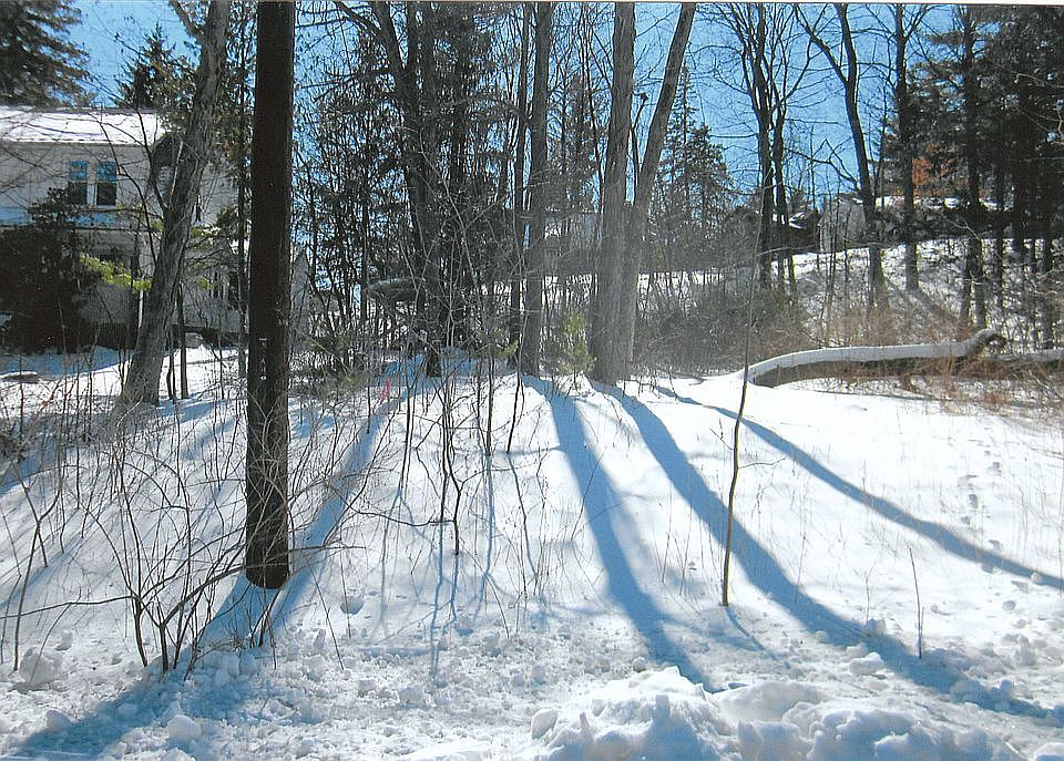 Lot from Farmington Ave
