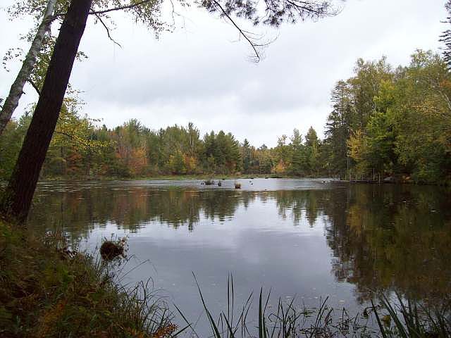 1st image of 19 Pixley Wilderness Shores Rd