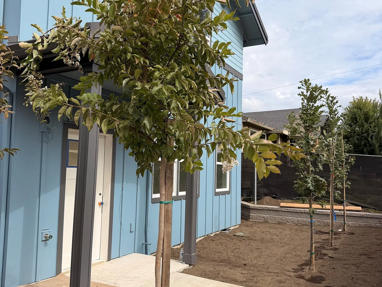 Duke Street Apartments — Photo 4