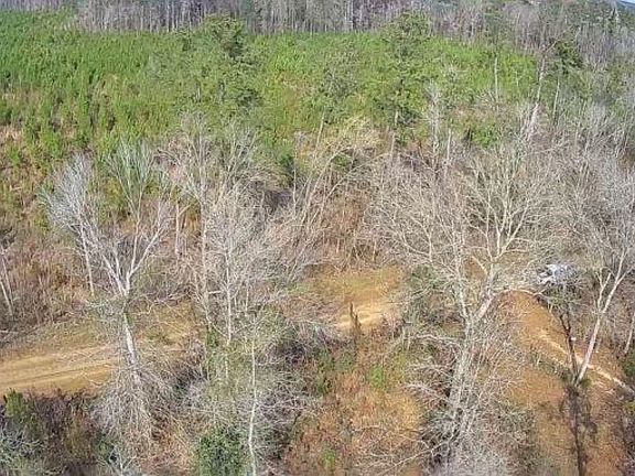 4th image of County Road 3107