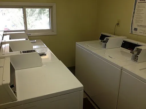 Will5110 — Photo 15