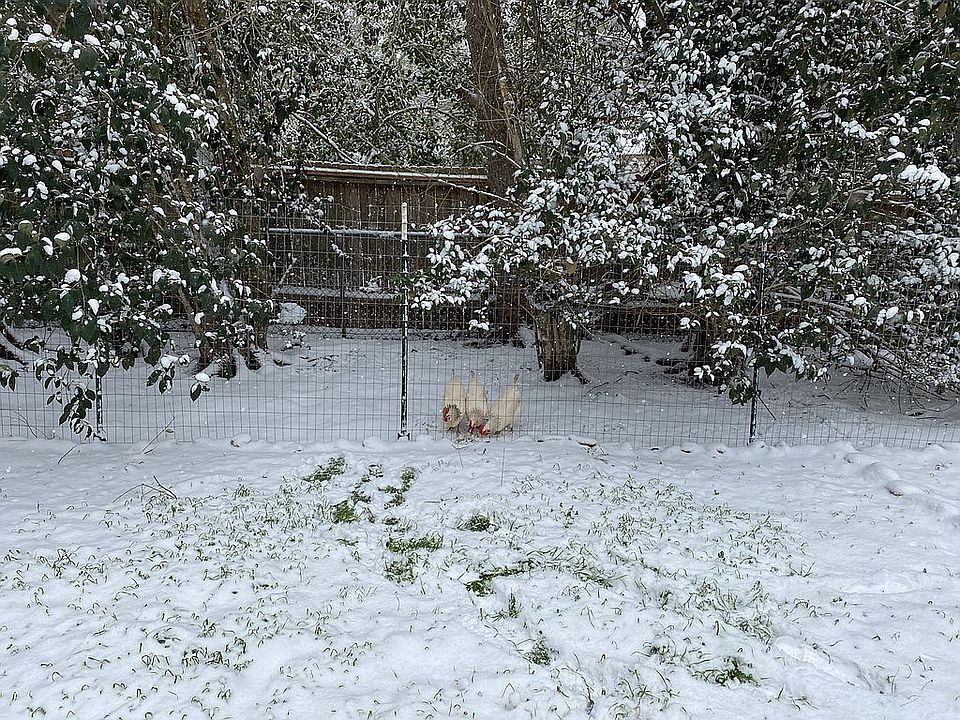 1st image of 326 Barbara Dr