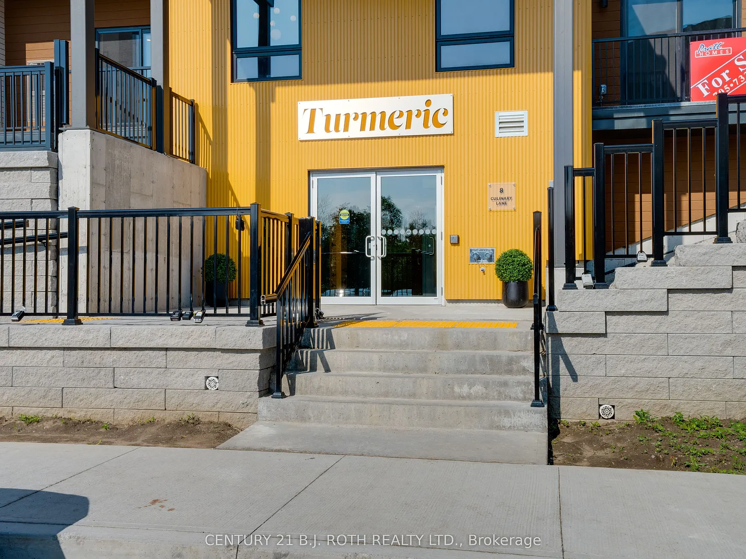 Tumeric — Photo 2