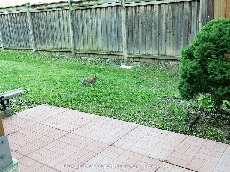 50 Strathaven Dr #28 — Photo 16
