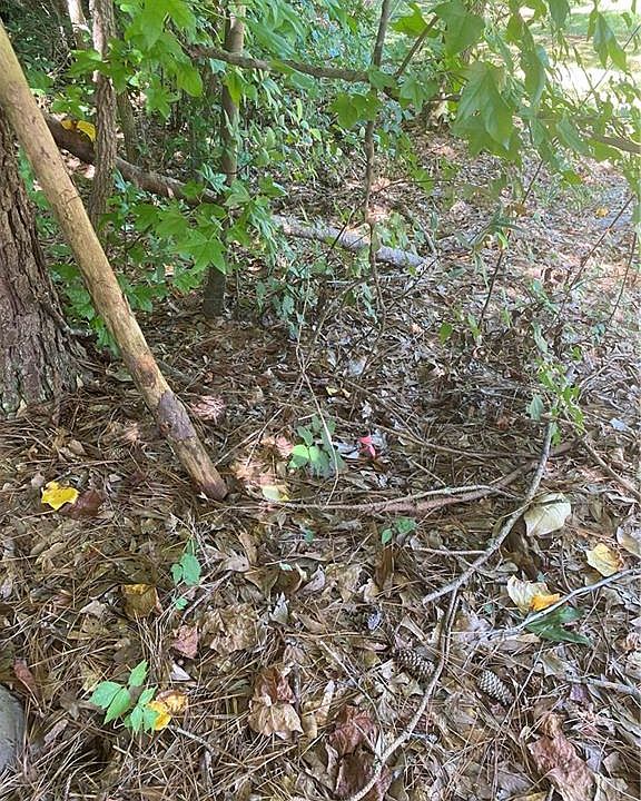 2nd image of 5556 Davis Dr Lot 13